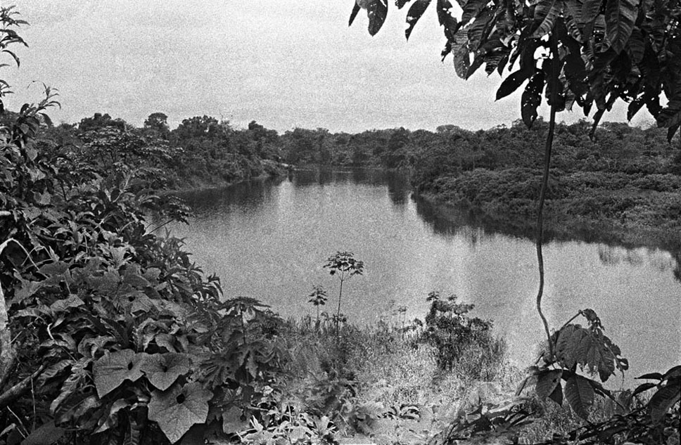 Amazonie Peruvienne