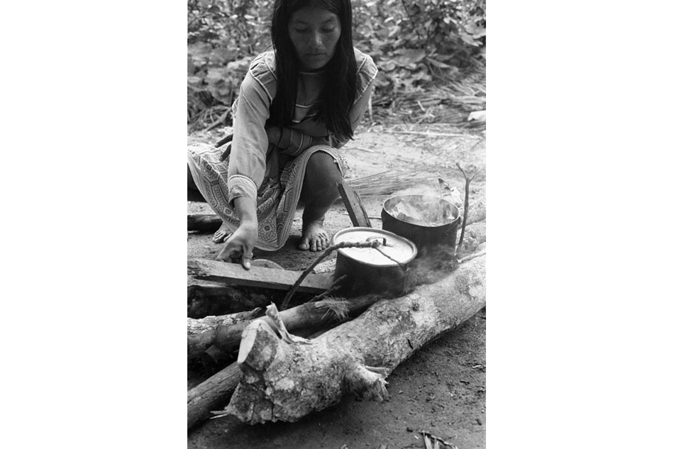 amazonia_14