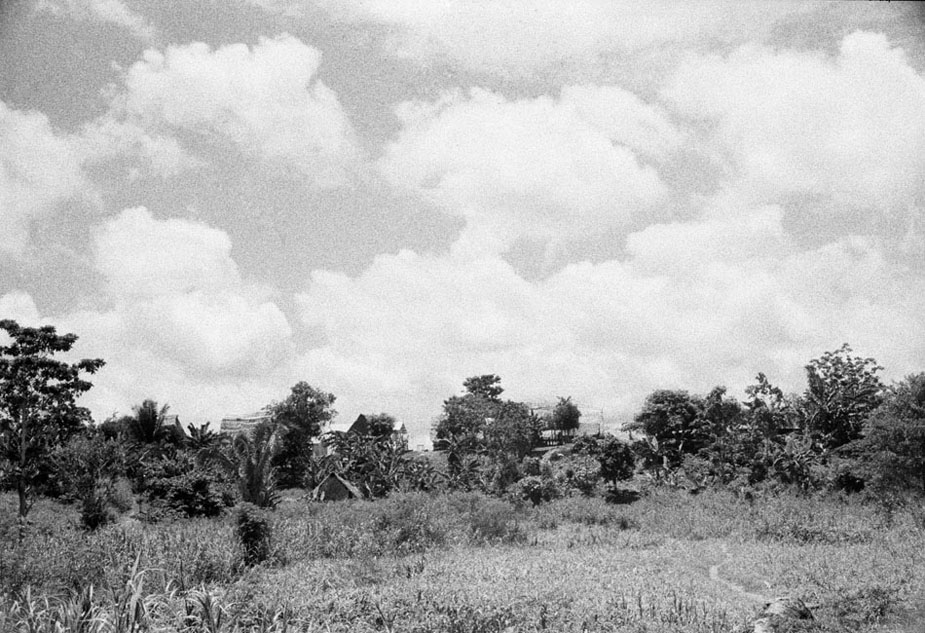 Amazonie PÈrouvienne